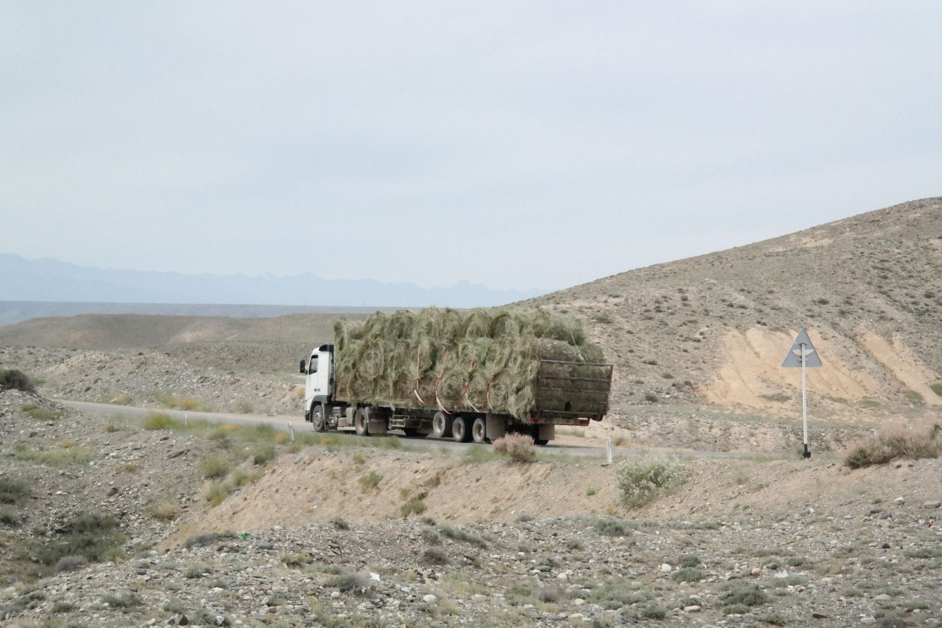 Bumper pull trailer loaded with hay bales
